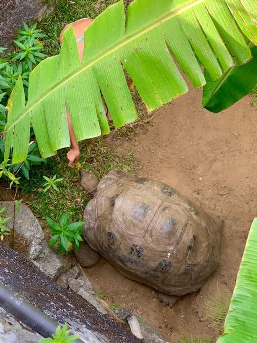 Maison De Jardin Villa ヴィクトリア エクステリア 写真